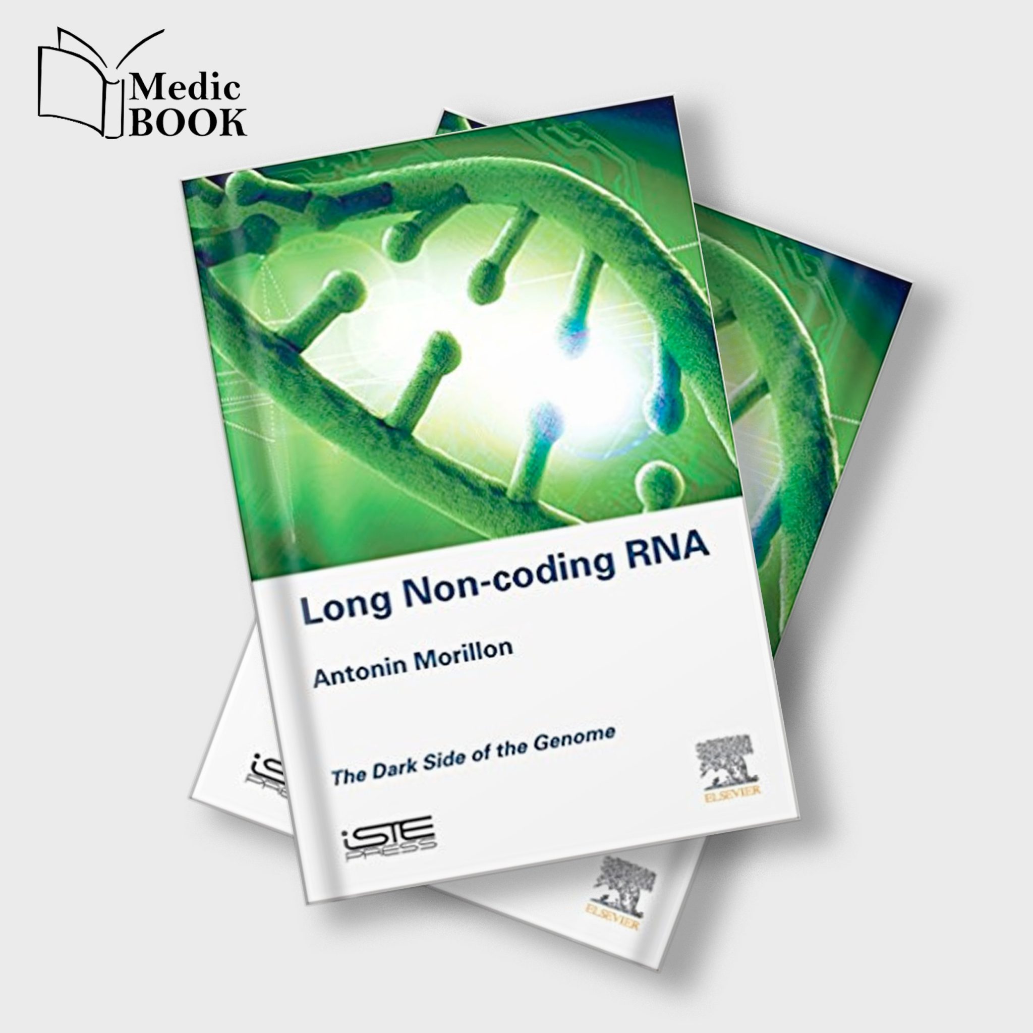 Long non coding rna the dark side of the genome epub 
